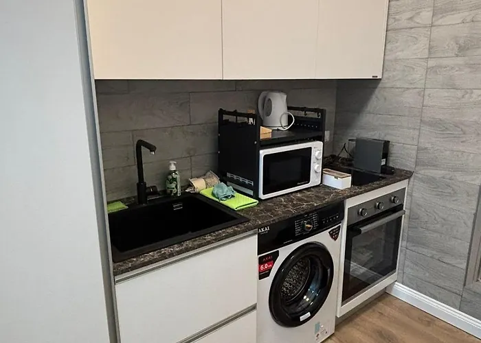 公寓 Casa Lavinia Bright Modern With Free Parking Easy Venice Access